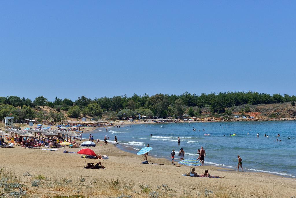 Anna'S Sea House Near To A Sandy Beach! Като-Даратсо Номер фото
